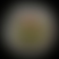 2019 Canada Two-dollar, D-Day, Coloured, Circulation