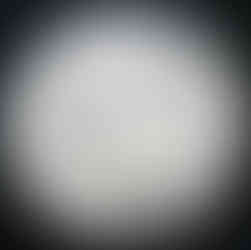 2025 Canada 25-cent, Caribou, Circulation