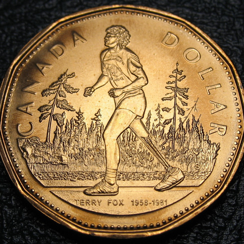 2005 Canada One Dollar, Terry Fox, Broken more branches on the right only ( Type-6 ) , Circulation