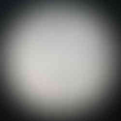 1991 Canada 50-cent, Coat of Arms, Circulation