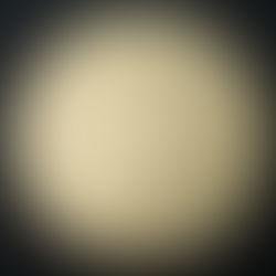 2023 Canada One Dollar, King Charles III, Loon, Circulation