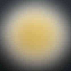 2005 Canada Two-dollar, Polar Bear, Circulation