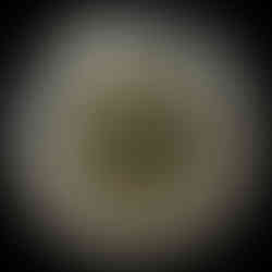 2020 Canada Two-dollar, Victory, Coloured, Circulation