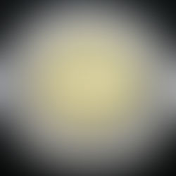 2016 Canada Two-dollar, Polar Bear, Circulation