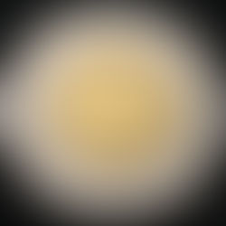 2009 Canada Two-dollar, Polar Bear, Circulation