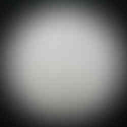 2013 Canada 5-cent, Beaver, Circulation