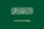 Flag_of_Saudi_Arabia.svg.webp