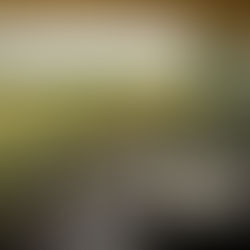 Four Seasons: Lüksün Yeniden Tanımlandığı Adres