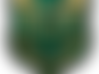 JetSetGez Arma Hikayesi