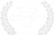 Плашка наградная 700.png
