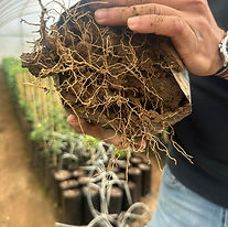 WhatsApp Image 2025-06-21 at 4.06.38 PM.jpeg