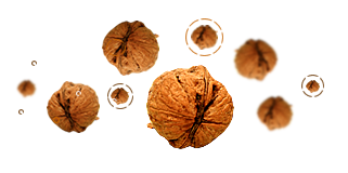 Thumbnail: Falcone Cantucci Walnuts and Apricots