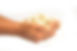 fox nuts india.jpeg