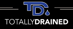 TD Logo.png