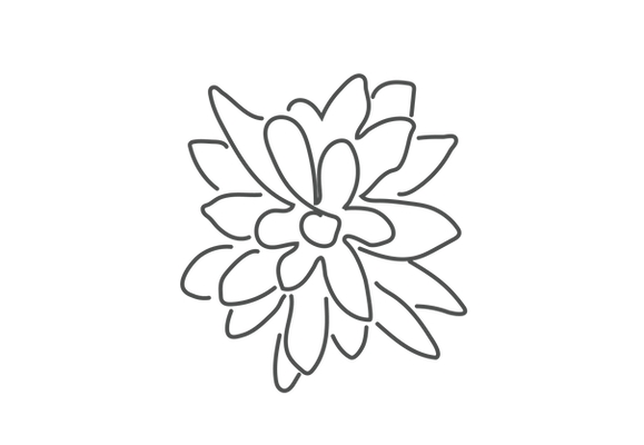 FlowerOutline.png