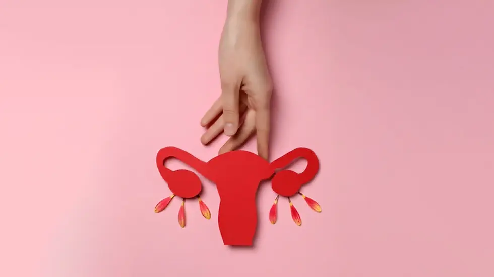 Perimenopause, Decoded. Feel Like You Again