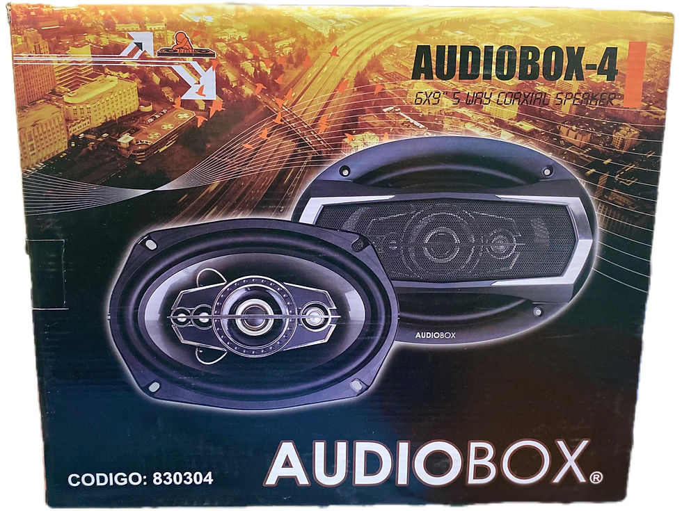 Parlante AUDIOBOX-4, 6x9 pulgadas