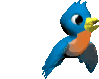 petit_oiseau_011.gif