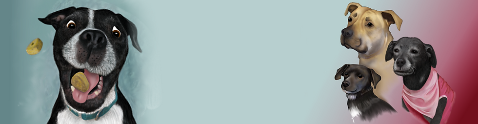 portait-banner.png