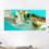 Miniature : Tableau Tortue des mers (Plexi recyclable)