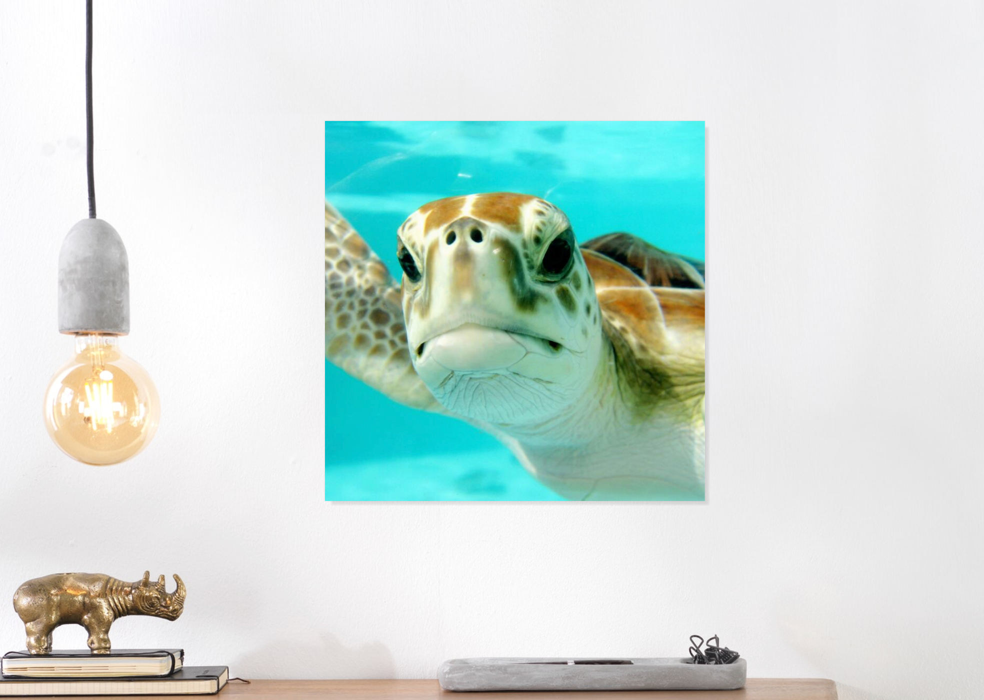 Tableau Tortue des mers (Plexi recyclable)
