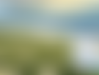 비아그라로 되찾는 진짜 부부의 온기