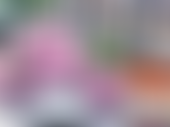 정력관리의 정석, 레비트라와 함께