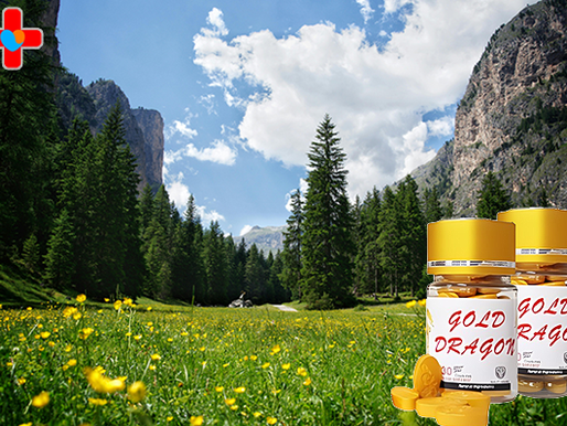 골드드래곤 구매, 자연이 선사한 든든한 지원군