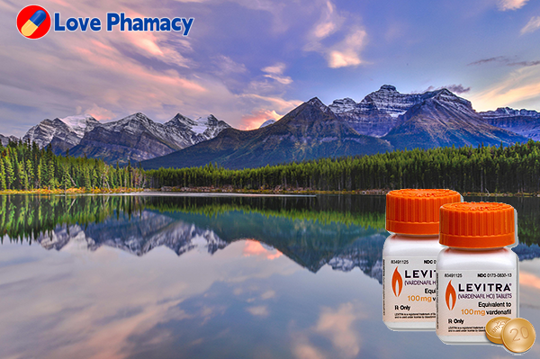 정품 레비트라 강직도, 침묵의 벽을 넘어서는 대화의 시작