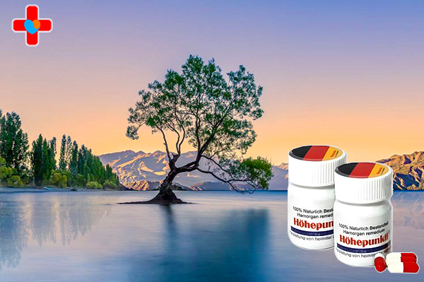 해포쿠코리아 풍성한 혜택 – 지금이 최고의 기회