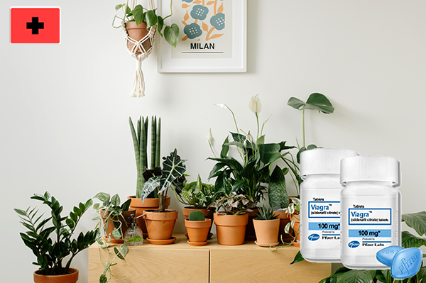 비아그라처방, 설렘이 사라진 것이 아니라 잠시 쉬고 있을 뿐