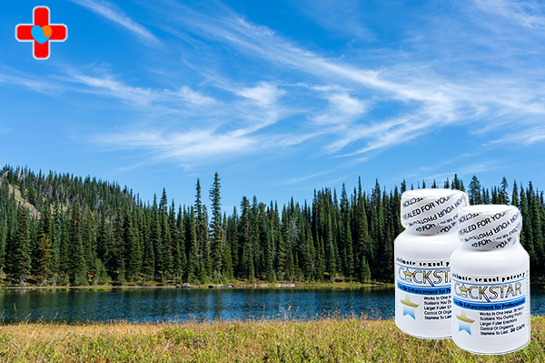 정품칵스타 구매방법, 신뢰할 수 있는 선택 하나약국