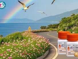 사랑 점검엔 레비트라도 필수다