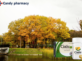 미국산시알리스팔팔, 성관계가 만드는 유연한 대화