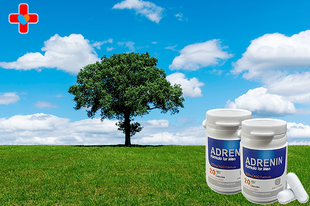 아드레닌 성분 - 발기부전 탈출, 정보부터 바로 잡아야 합니다