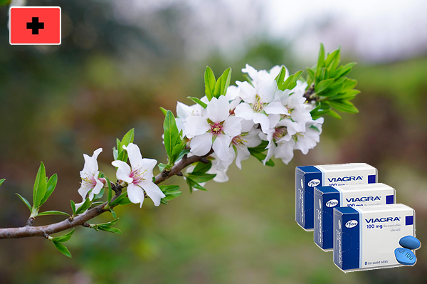 30대 비아그라 후기, 남성 파워 업그레이드