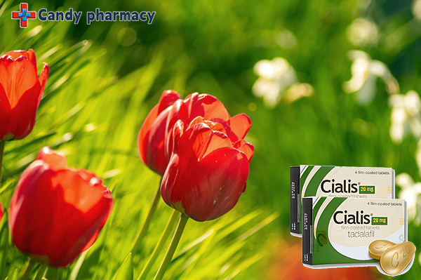 미국산시알리스효과, 이 밤의 주인공은 당신입니다