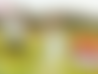 레비트라 50mg구입방법, 자신감을 되찾는 남성들의 선택