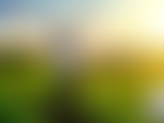 가슴을 펴고 당당하게! 비맥스로 자신감을 되찾다