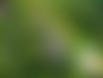 국산시알리스주의사항, 사랑이 더 깊어지는 결정적 포인트