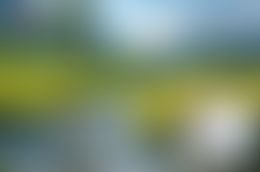 슈퍼카마그라효과, 젊은 세대와 발기부전 고민