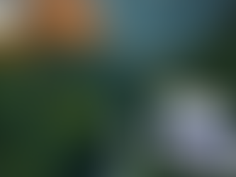 아드레닌으로 되찾는 아내의 미소