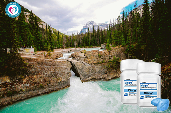 30대 비아그라 후기, 마음이 먼저 신호를 보냅니다