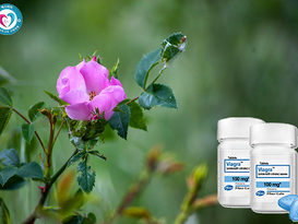 전주 비아그라 약국, 자신감 회복의 시작점