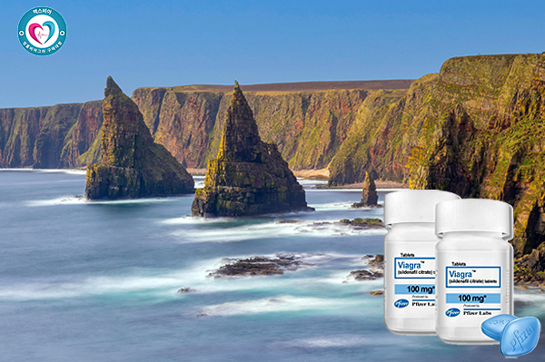 비아그라100mg가격, 첫사랑의 심장을 되살리는 현대 남성학