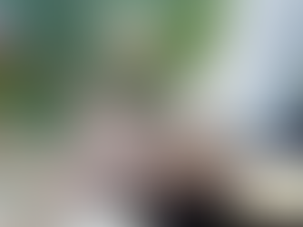 그녀에게 건넨 꽃과 청혼반지, 그리고 센트립의 마법