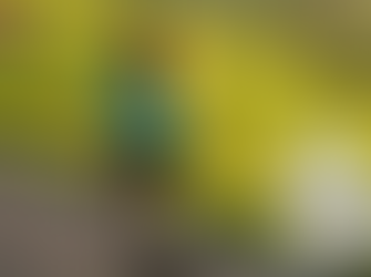 정품 레비트라 가격 – 비아마켓에서 합리적이고 안전하게