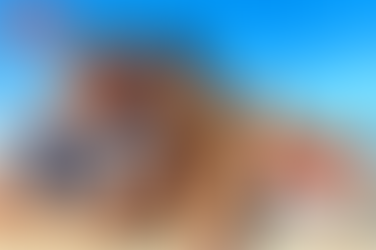 레비트라 구매, 지속력은 남성의 품격을 바꿉니다