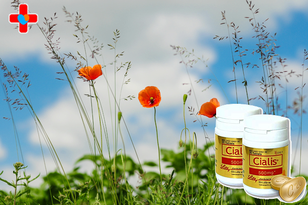 정품 골드시알리스, 성생활 만족은 곧 남자의 자존심과 직결됩니다.