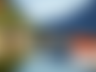 완벽한 리듬을 위한 선택, 레비트라 성능의 의미